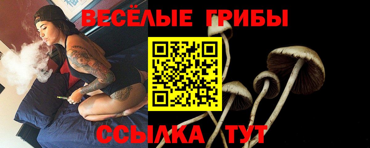 Когалым  купить наркотик  Вход с VPN  Галлюциногенные грибы Psilocybine cubensis 