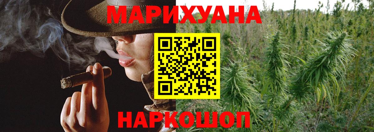 Бошки марихуана Bruce Banner  Шишки марихуана план  Когалым  Канабис сатива  Вход с VPN  Марихуана гибрид 